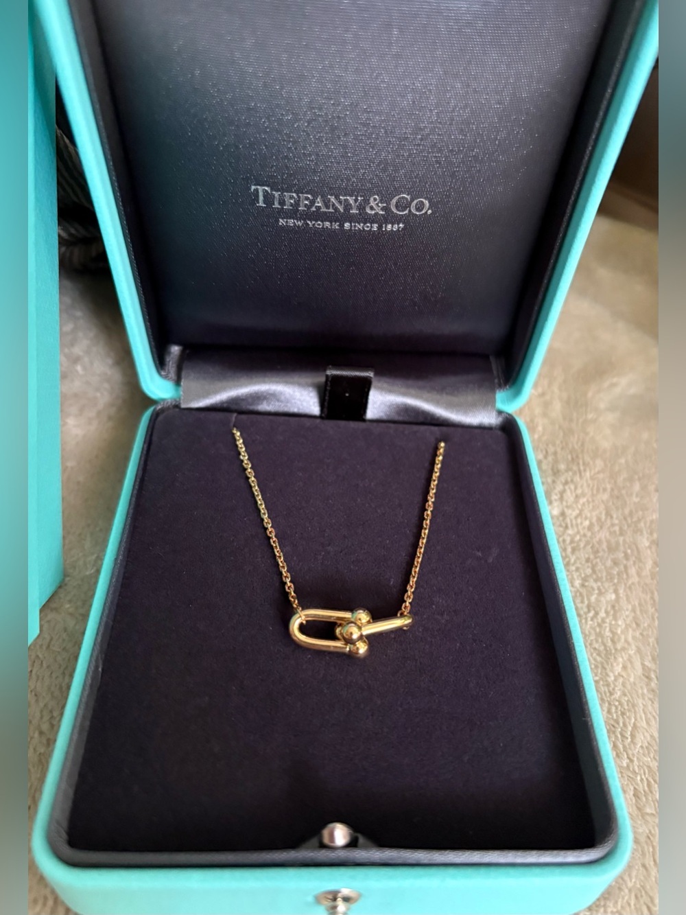Elegant Authentic Tiffany & Co HardWear Double Link Small Pendant Necklace, NEW!